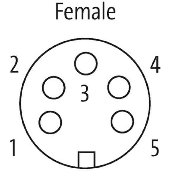 7/8 Fem Droit 5p-Lire la description