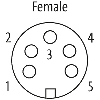 7/8 Fem Droit 5p