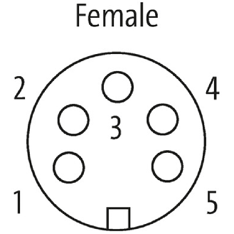 7/8 Fem Droit 5p-Lire la description