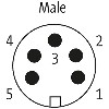 7/8'' Mâle Droit 5p; Bornes à vis (x5) < 1,5mm², Ø10-12mm - 7000-78101-0000000 7/8'' Mâle Droit 5p; Bornes à vis (x5) < 1,5mm², Ø10-12mm - 7000-78101-0000000