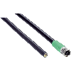Câble de raccordement M12 (connecteur femelle-ouvert) - SIC6042773