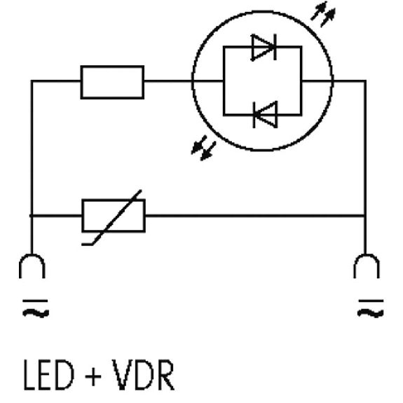 Module d'antiparasit. p/électrov. Forme A LED+VDR 48VAC/DC 100W/VA - 3124052 | VBS-LED JAUNE +VDR 48 U-Lire la description