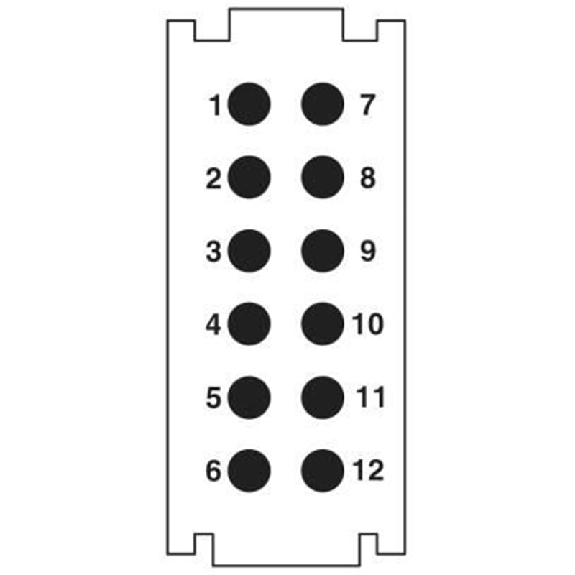 Module 12 contacts de puissance mâle, Push-in, 250 V, 10 A - HC-M-12-PT-M Module 12 contacts de puissance mâle, Push-in, 250 V, 10 A - HC-M-12-PT-M-Lire la description