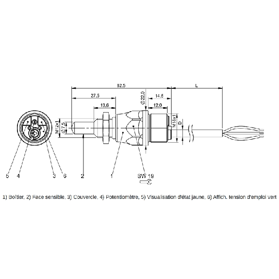 Capteur de niveau capacitif au contact M12 PNP/NPN PEEK / Câble 2m - BCS S44KK01-GPCFAG-EP02 (BCS010L)-Lire la description