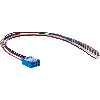 Connecteur Fem Droit 8p; Câble 8 fils 0.4m  - DOL-0B08-G0M4XB1