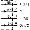 Cellule EAP PNP/NPN P=1m PinPoint IO-Link LO/DO / M12 4P+C0.3m - WTS26P-34161120A00