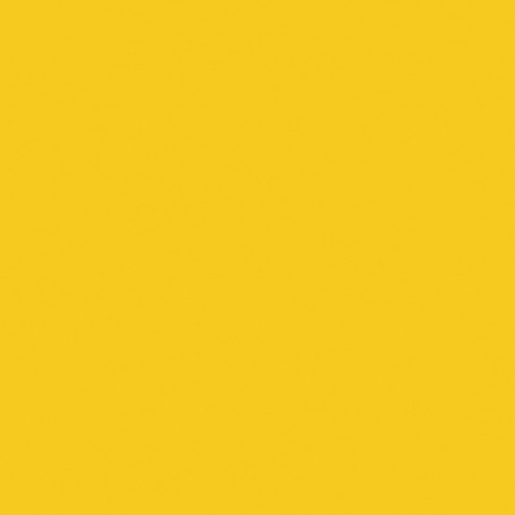 Hallenfarbe PROline paint, 1-Komponentenfarbe, gelb (RAL 1003), 5 l Hallenfarbe PROline paint, 1-Komponentenfarbe, gelb (RAL 1003), 5 l-Beschreibung lesen