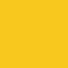 Hallenfarbe PROline paint, 1-Komponentenfarbe, gelb (RAL 1003), 5 l Hallenfarbe PROline paint, 1-Komponentenfarbe, gelb (RAL 1003), 5 l