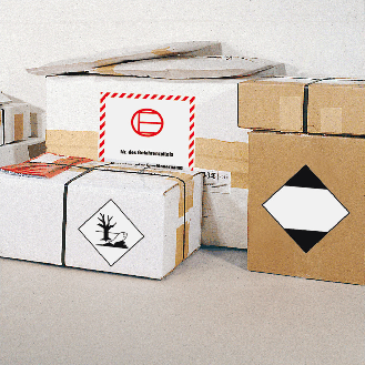 Gefahrgutzettel (Placards) umweltgefährdende Stoffe, Folie, seewasserbeständig, 250x250mm, IMDG-Code, GGVSEB, ADR, IATA-Beschreibung lesen