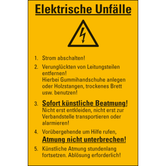 Aushang Elektrische Unfälle, Kunststoff, 300x200 mm-Beschreibung lesen