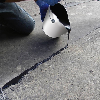 Résine pour reboucher fissures (5 kg de résine + 0,2 kg de durcisseur - 266.20.698 Résine pour reboucher fissures (5 kg de résine + 0,2 kg de durcisseur - 266.20.698