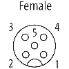 M12A Fem Droit 5p; Câble PUR (UL/CSA) 5x0.34 Noir Cpc 2m - 7000-12241-7320200