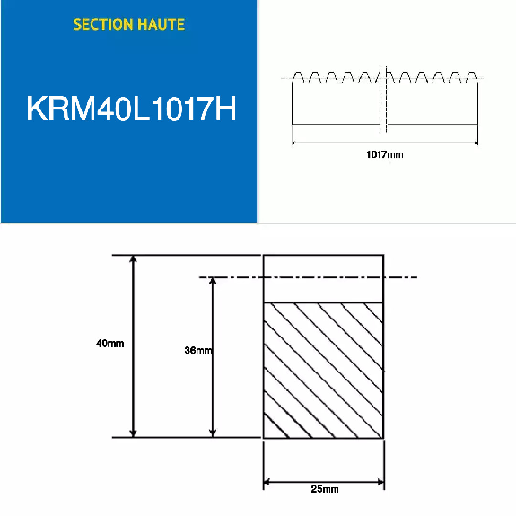 Cremagliere Sezione alta 1017 mm Modulo : 4-Leggi tutto
