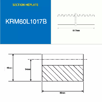 Crémaillères Section méplate  1017mm Module : 6-Lire la description
