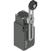 Int.de position Levier rotatif réglable à galet inox Ø20mm 1NO+1NF - FR 556-1
