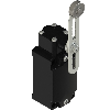 Int. de position Levier rotatif réglable à galet 1NO+2NF +180°C 1xM20 - FD 2056-M2R24T2
