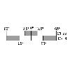 Int. de position Levier rotatif à tige ressort DF 1NO/1NF, 1xM20 - 1362858 | ES 97 DF 11 Int. de position Levier rotatif à tige ressort DF 1NO/1NF, 1xM20 - 1362858 | ES 97 DF 11