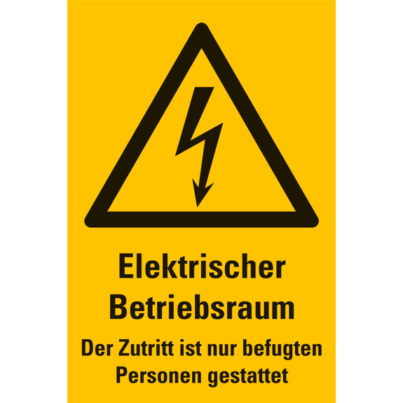 Warnschild Elektrischer Betriebsraum Der Zutritt ist..., Aluminium, 300x200mm-Beschreibung lesen