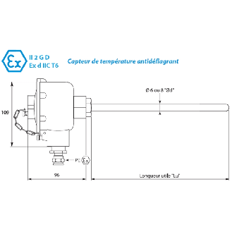 Sonde Pt100x1 3 fils tête ATEX inox 316 Cl.A Ø6 x 1000mm -50/+450 °C - ALC10001-6-Lire la description