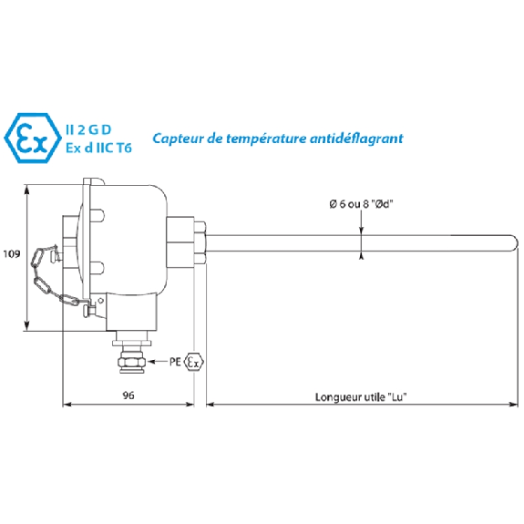 Sonde Pt100x1 3 fils tête ATEX inox 316 Cl.A Ø6 x 1000mm -50/+450 °C - ALC10001-6 Sonde Pt100x1 3 fils tête ATEX inox 316 Cl.A Ø6 x 1000mm -50/+450 °C - ALC10001-6-Lire la description