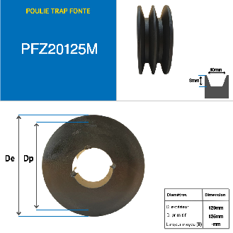 Poleas Poleas trapezoidales con cubo desmontable PFZ20125M Polea trapezoidal de hierro fundido tipo SPZ / Z con cubo desmontable serie 1610 con 2 ranuras, diámetro de paso 125 mm-Leer más