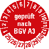 Prüfplakette geprüft nach BGV A3,25-30,rot,Folie,selbstklebend,Ø 20mm,10/Bogen