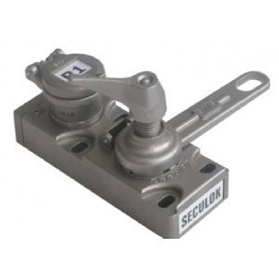 Serrure d'accès 1 clé (Code à préciser) + loquet de 85mm - ACS-CE Serrure d'accès 1 clé (Code à préciser) + loquet de 85mm - ACS-CE-Lire la description