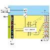 Module 16 entrées TOR, 24VDC, IP20, Axioline F - AXL F DI16/1 1H