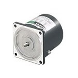 Moteur asynchrone 6W 1PH 230V Bride 60mm Arbre type GN 41mNm  - 2IK6RGN-CW2E-Lire la description