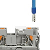 Bloc de jonction simple, Push-in, 0,2 - 6mm², 32A, 800V, bleu - PT 4 BU
