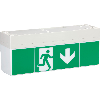 LED-Sicherheitsleuchte 17m