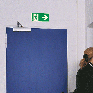 Rettungszeichen Rettungsweg rechts, Pfeil, Aluminium, 400x200mm, ASR A1.3, DIN EN ISO 7010 E002-Beschreibung lesen