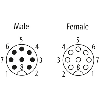 M12A Fem Droit 8p/M12A Mâle Droit 8p; PUR UL/CSA 8x0.34 Noir Cpc 0,3m - 7000-48001-6640030