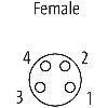M08A Fem Droit 4p; Câble Blindé PUR UL/CSA 4x0.34 noir 5m - 7000-08761-6410500