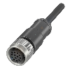 M12A Fem Droit 12p; Câble Blindé PUR 12x0,25 Noir Cpc 30m (30V) - BCC M41C-0000-1A-169-PS0C25-300-C009 (BCC0L1Z)