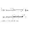 Système de mesure de position magnétique 096mm, 0-10V/4-20mA, IO-Link - BMP 01-EL1PP21A-0096-00-P00,5-S4 (BMP000N)