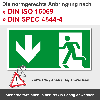 Rettungszeichen Notausgang, Kunststoff, 400x200mm, ASR A1.3, DIN EN ISO 7010 E001
