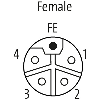 M12L Fem Droit 5p; Bornes guillotines 0.75-1.5mm², Ø5.8-13.5mm - 7000-P4421-0000000 M12L Fem Droit 5p; Bornes guillotines 0.75-1.5mm², Ø5.8-13.5mm - 7000-P4421-0000000