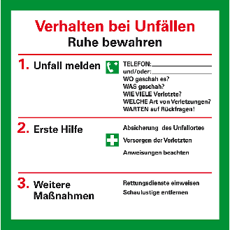 Aushang Verhalten bei Unfällen, Kunststoff, 200x200mm-Beschreibung lesen