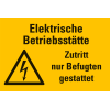 Warnschild Elektrische Betriebsstätte Zutritte nur..., Kunststoff, 200x300mm