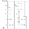 Contacteur inverseur moteurs CA triphasés, 500VAC - 9A / Cde 24VDC - ELR W3- 24DC/500AC- 9I