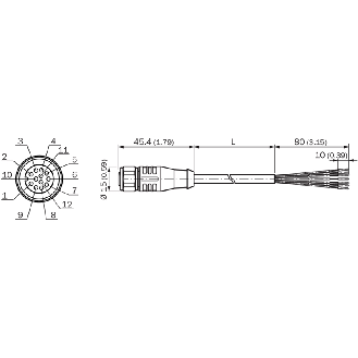 M12A Fem Droit 12p; Câble Blindé PUR 12x0,14 Noir 10m - SIC6054973-Lire la description