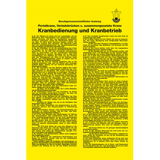 Aushang Kranbedienung und Kranbetrieb, Kunststoff, 200x300mm-Beschreibung lesen