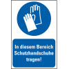 Gebots-Kombischild In diesem Bereich Schutzhandschuhe..., Kunststoff, 200x300mm
