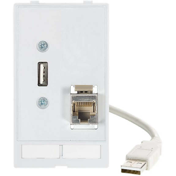 Module simple MSDD 1x USB-A 2.0 F/F/0.7m + 1x RJ45 F/F - 4000-68000-1300000 Module simple MSDD 1x USB-A 2.0 F/F/0.7m + 1x RJ45 F/F - 4000-68000-1300000-Lire la description