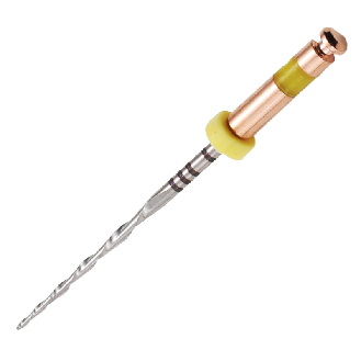 Limes go! RCP-Dateien Silber A Alternative Movement 21 mm R50 05 % Gelb  Blister mit 6 sterilen Limetten-Beschreibung lesen