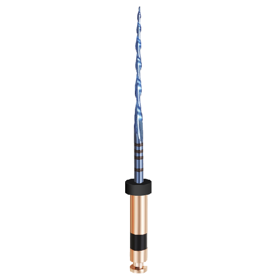 LIMES GO!FILES RCP BLUE A MOUVEMENT ALTERNATIF 21mm R40 06% Noire - BLISTER DE 6 LIMES STERILES-Lire la description
