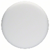Disque en mousse souple (blanc), diamètre 170 mm Disque en mousse souple (blanc), diamètre 170 mm