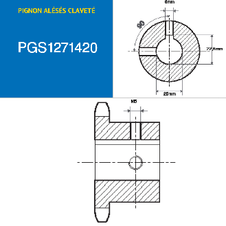 CMW - Pignon alésé claveté avec 2 vis pression à 90° - Simple denture  - 08B1 - 14 dents - Pas de 12,7 mm avec alésage de 20 mm-Lire la description
