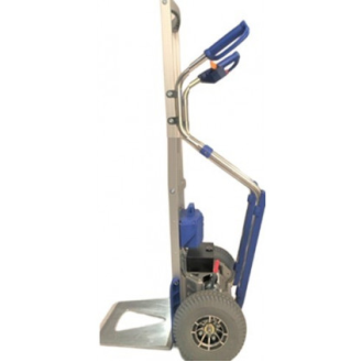 Carro eléctrico 250 kg-Leer más